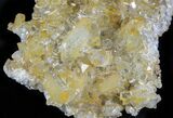 Plate Of Gemmy, Chisel Tipped Barite Crystals - Mexico #78139-2